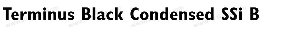 Terminus Black Condensed SSi Bold Condensed字体转换